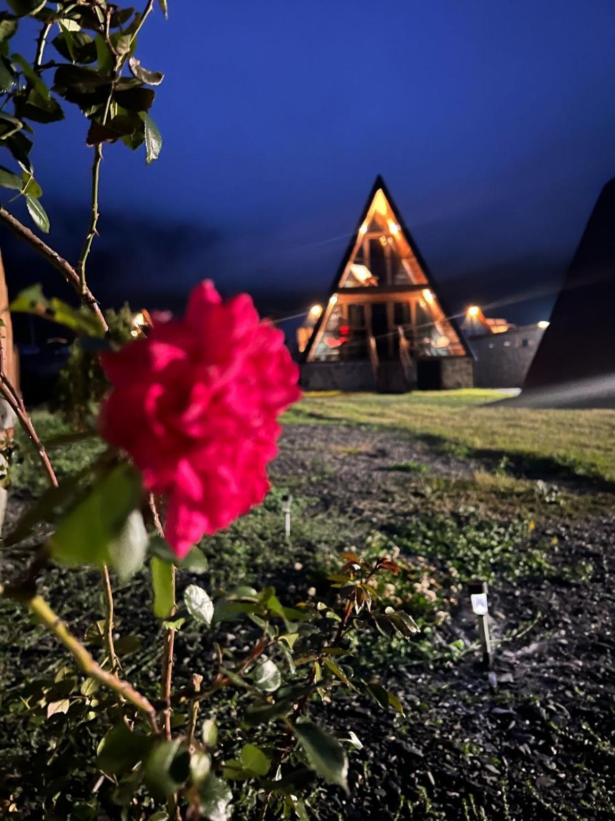 Sanseco Cottage Kazbegi Eksteriør bilde